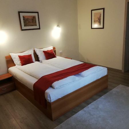 Vila Nicopole Art & Wine Brašov Exteriér fotografie