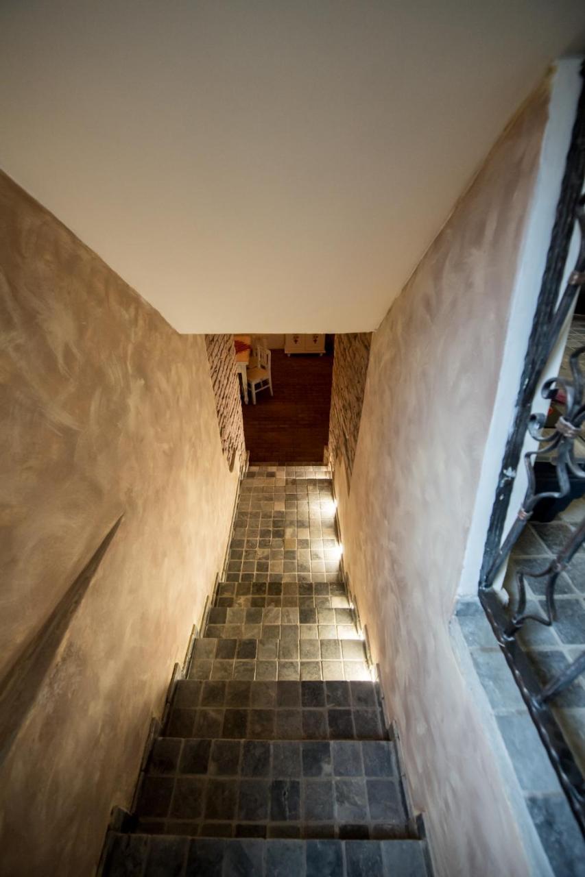 Vila Nicopole Art & Wine Brašov Exteriér fotografie