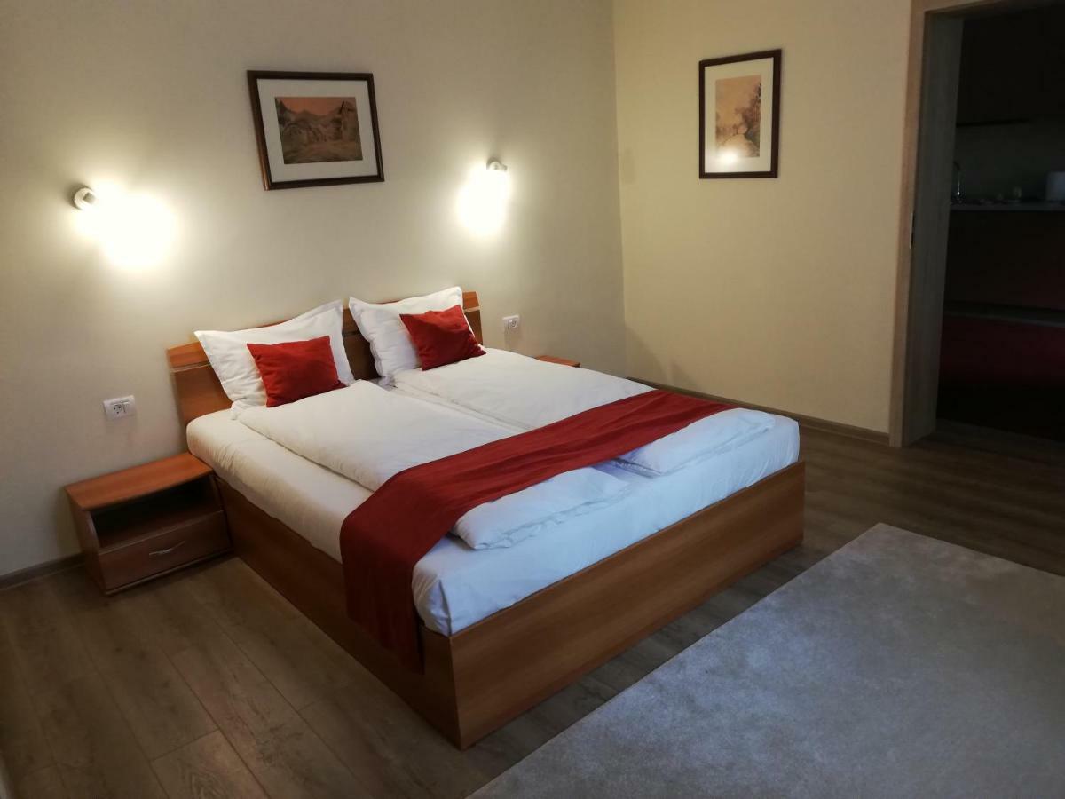 Vila Nicopole Art & Wine Brašov Exteriér fotografie